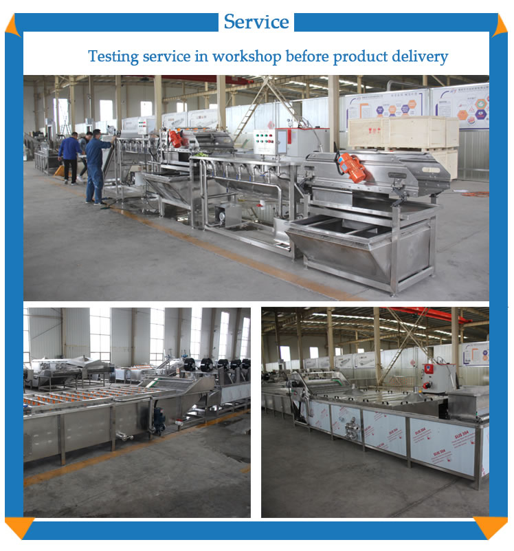 vegetable blanching machine frozen fruit and vegetable 

blanching machine_29.jpg