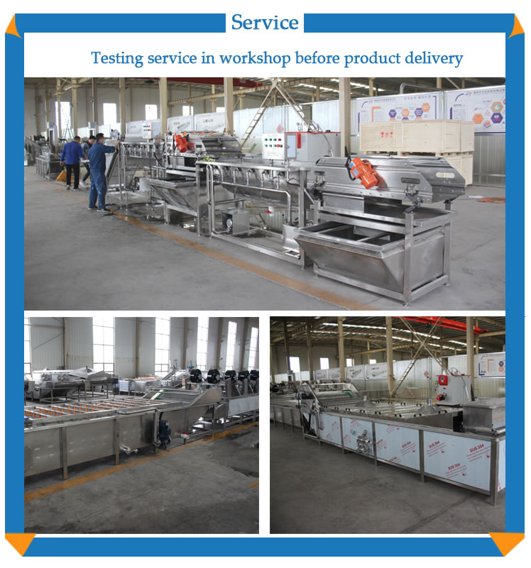 vegetable blanching machine frozen fruit and vegetable blanching machine_29.jpg