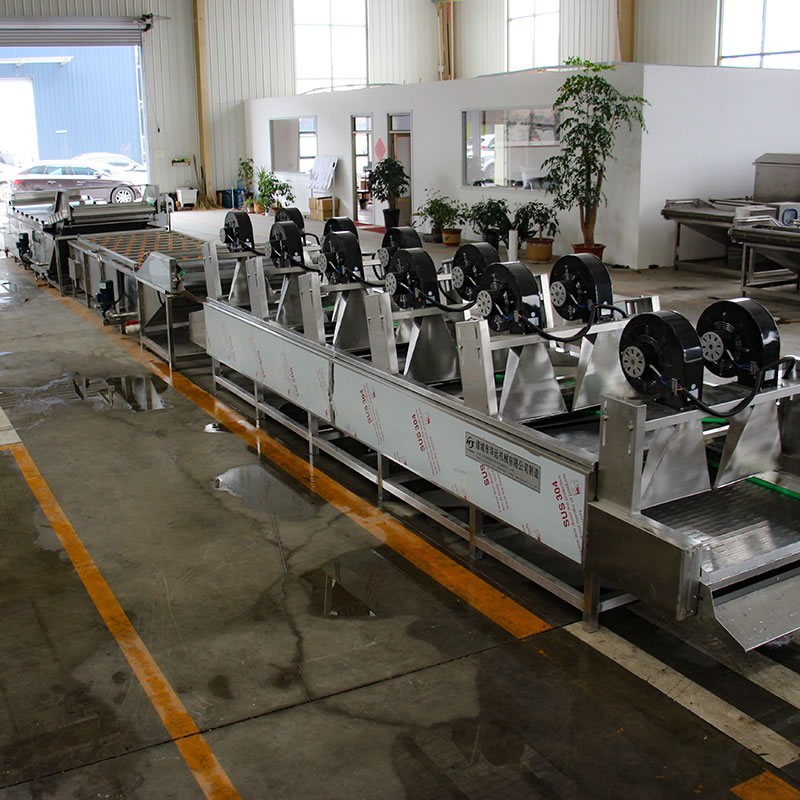 vegetables and fruits cleaning pasteurization production line.JPG