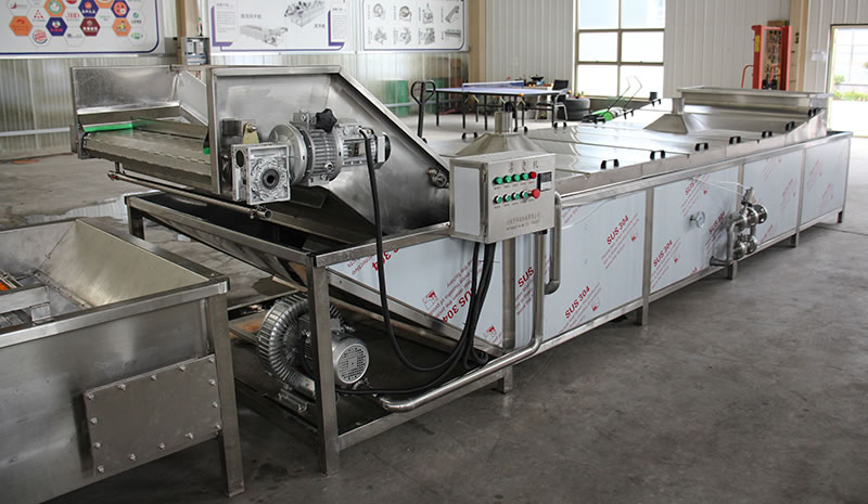 Vegetable and fruit blanching line, pasteurization blanching line seafood blanching