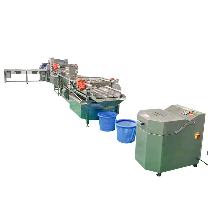 Vegetable cutting cleaning line vortex cleaning machine, fruit and vegetable cleaning machine washing line